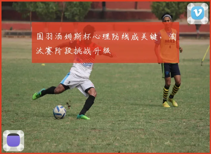 国羽汤姆斯杯心理防线成关键，淘汰赛阶段挑战升级 - 看球通推荐