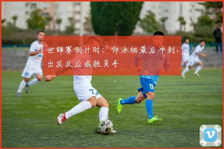 世锦赛倒计时：仰泳组最后冲刺，出发反应成胜负手 - 看球通推荐